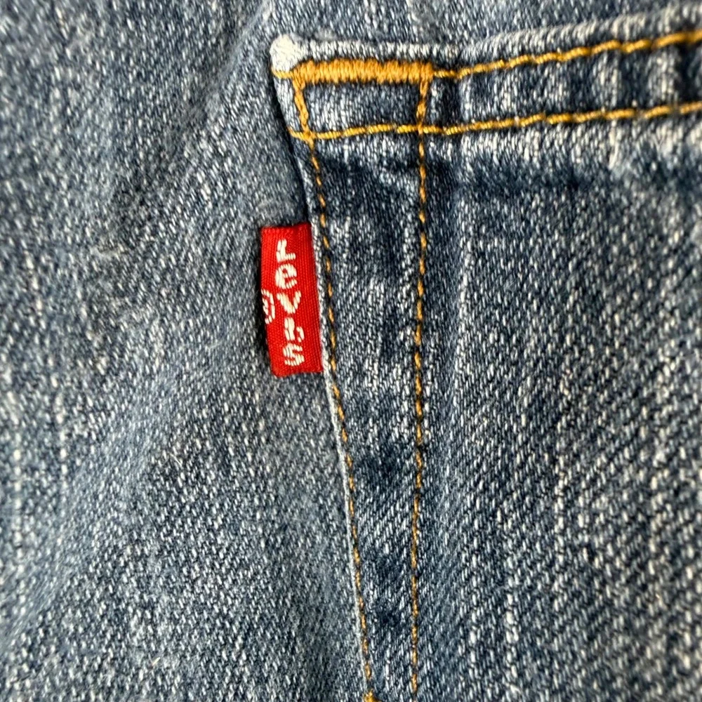 Levis levi 569